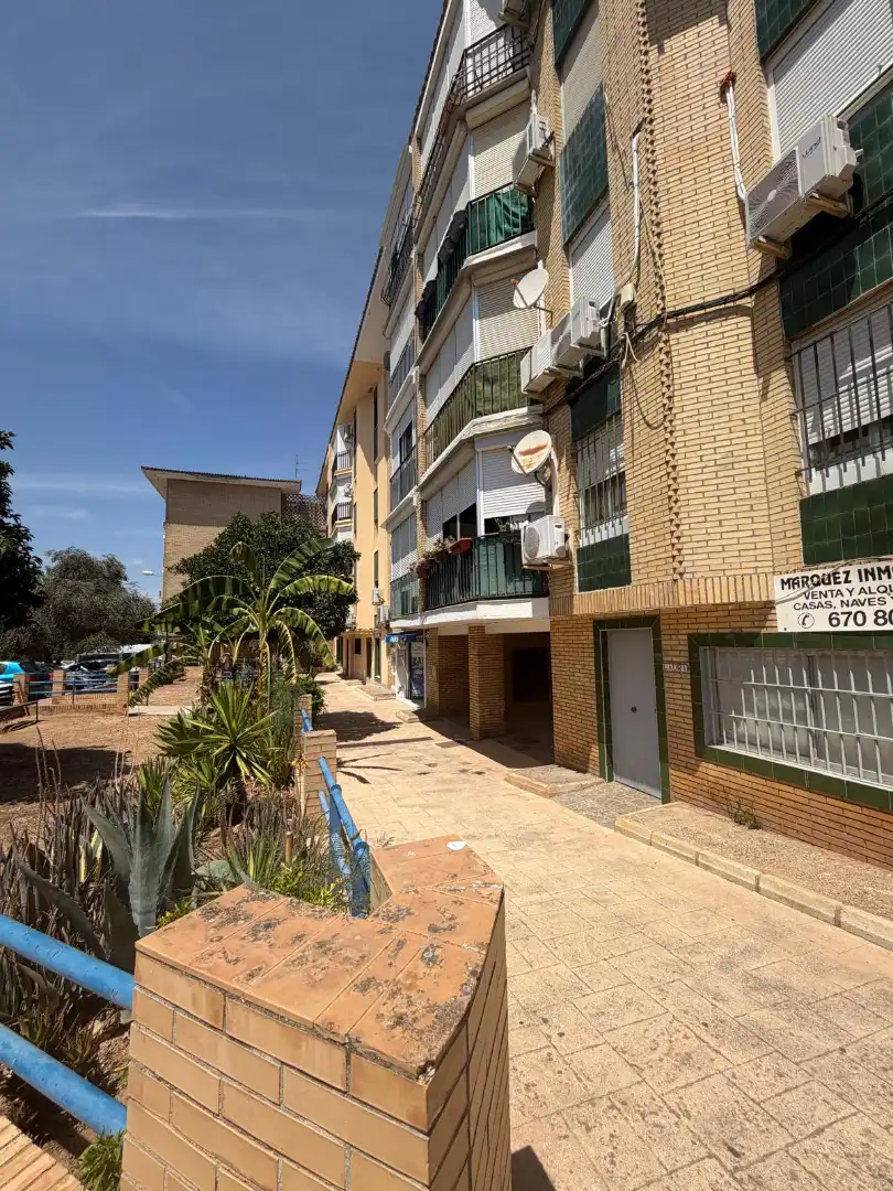 Vista exterior de Pis en venda en Mairena del Aljarafe amb Aire condicionat, Moblat i Balcó