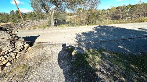 Foto 2 de Finca rústica en venda a Camí de Sant Jeroni, 5, Móra d'Ebre, Tarragona