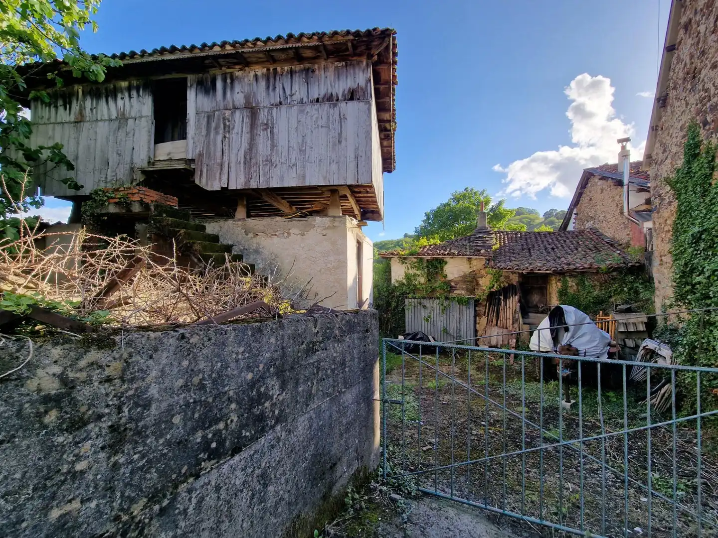 Vista exterior de Finca rústica en venta en Tineo con Balcón y Piscina comunitaria