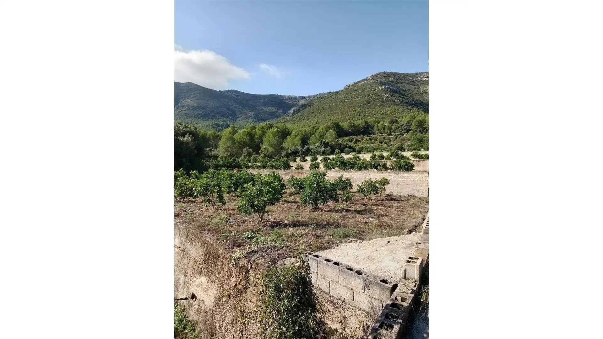 Terreny rústic en venda a Parcent, imagen 3