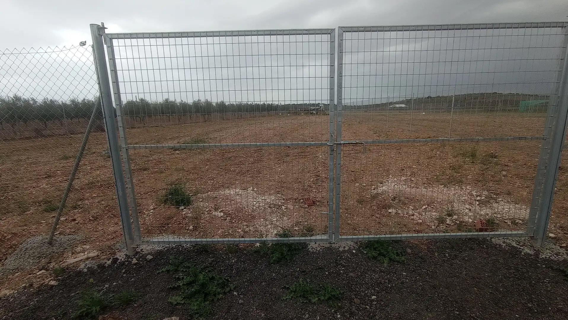 Terreno rústico en venta en Carrión de Calatrava, imagen 2