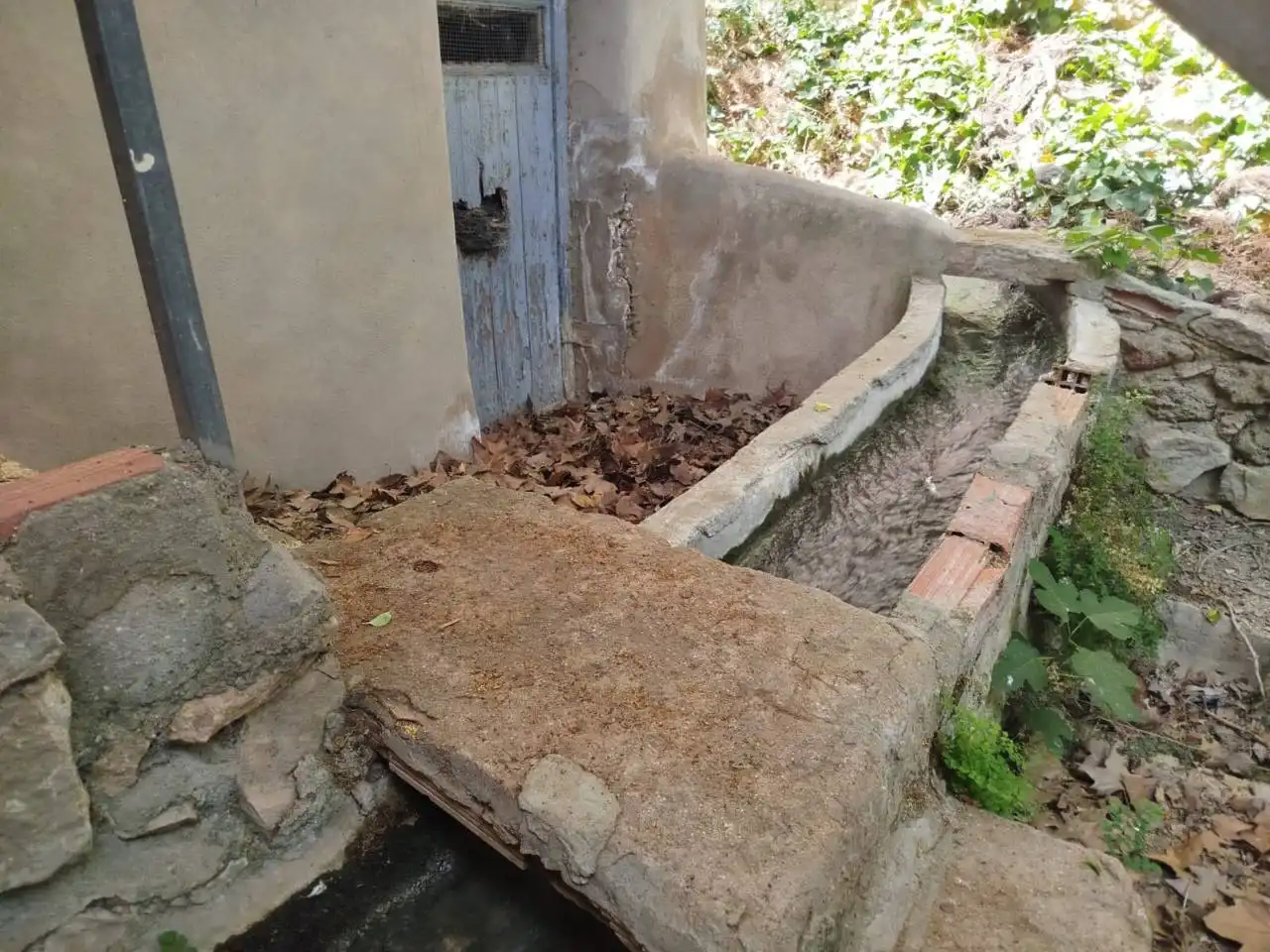 Jardí de Casa o xalet en venda en Ruidera amb Jardí privat