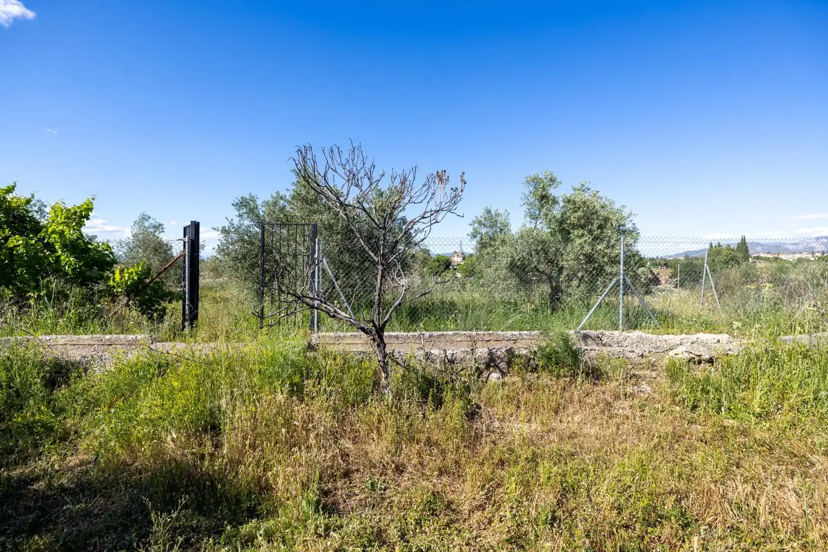 Rural land for sale in Polígono 3 Parcela 220 Arnique, imagen 26
