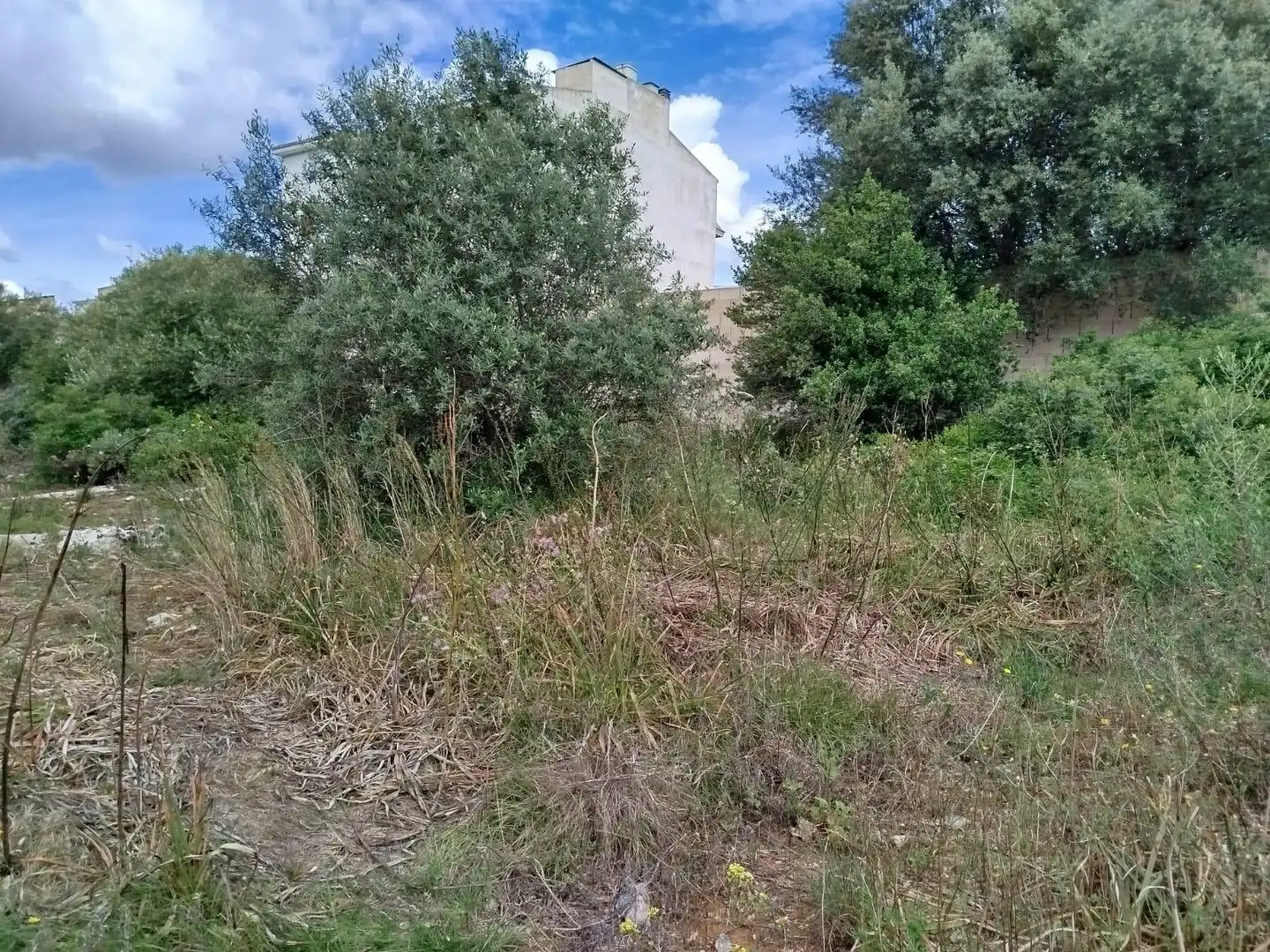 Grundstücke und Bauplätze zum Verkauf in GREGORI CERDO, imagen 12
