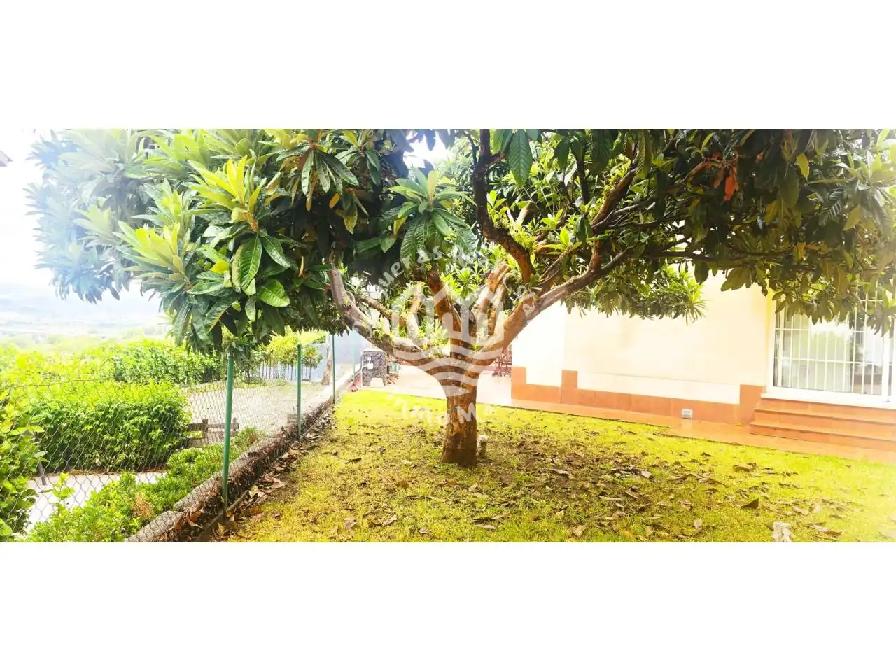 Jardí de Casa o xalet en venda en Abrera amb Aire condicionat, Calefacció i Jardí privat