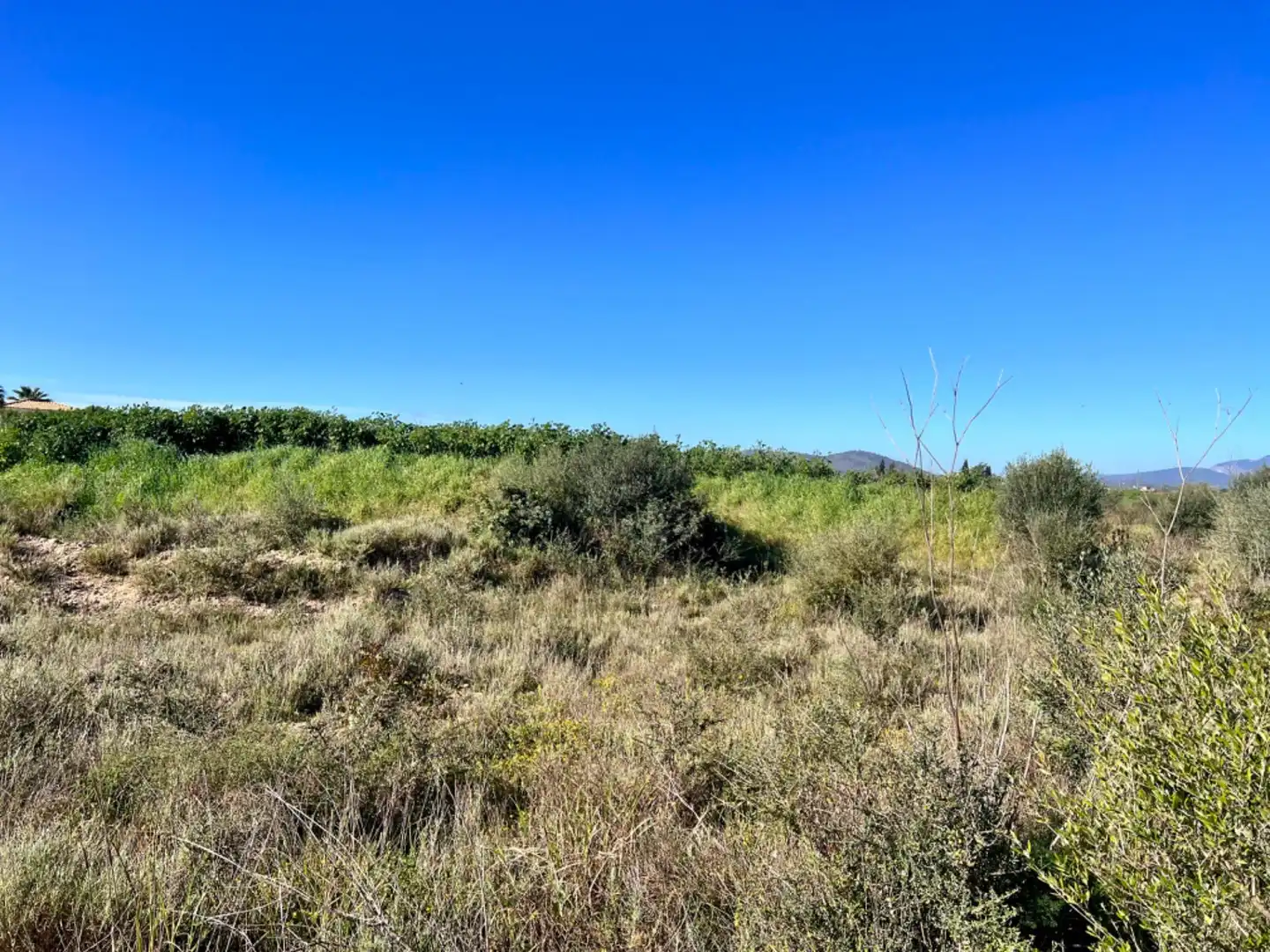 Landhaus zum Verkauf in Sa Pobla, imagen 15