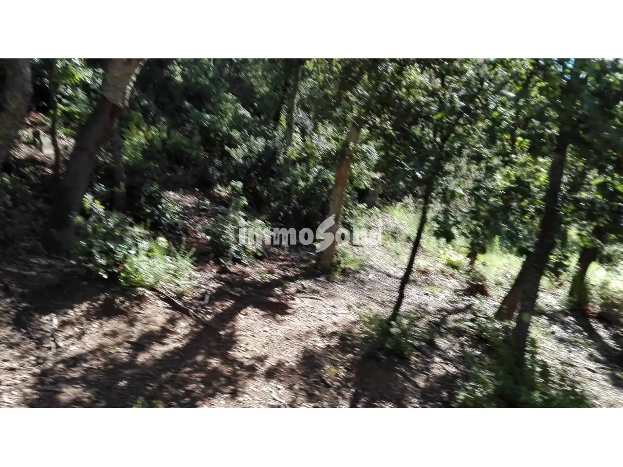 Terreny rústic en venda a Llinars del Vallès, imagen 7