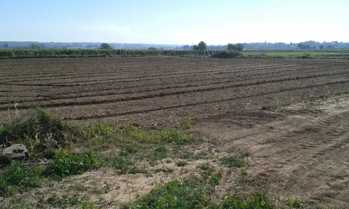 Casa rústica en venta en Castelldans