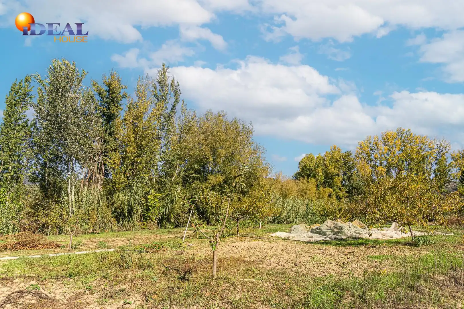 Finca rústica en venta en JA-4306, Castillo de Locubín