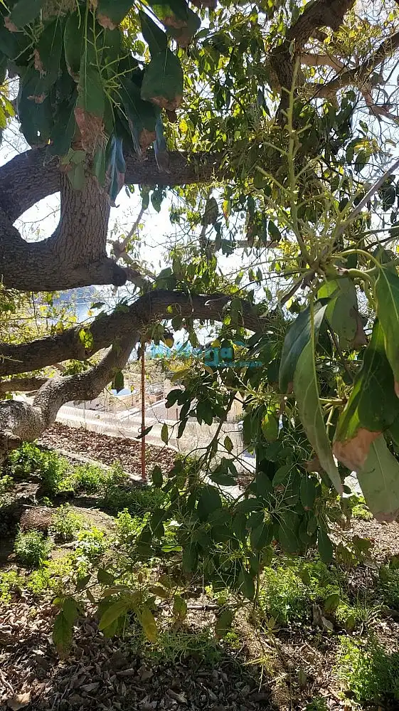 Terreni e lotti in vendita a Almuñecar centro, imagen 15