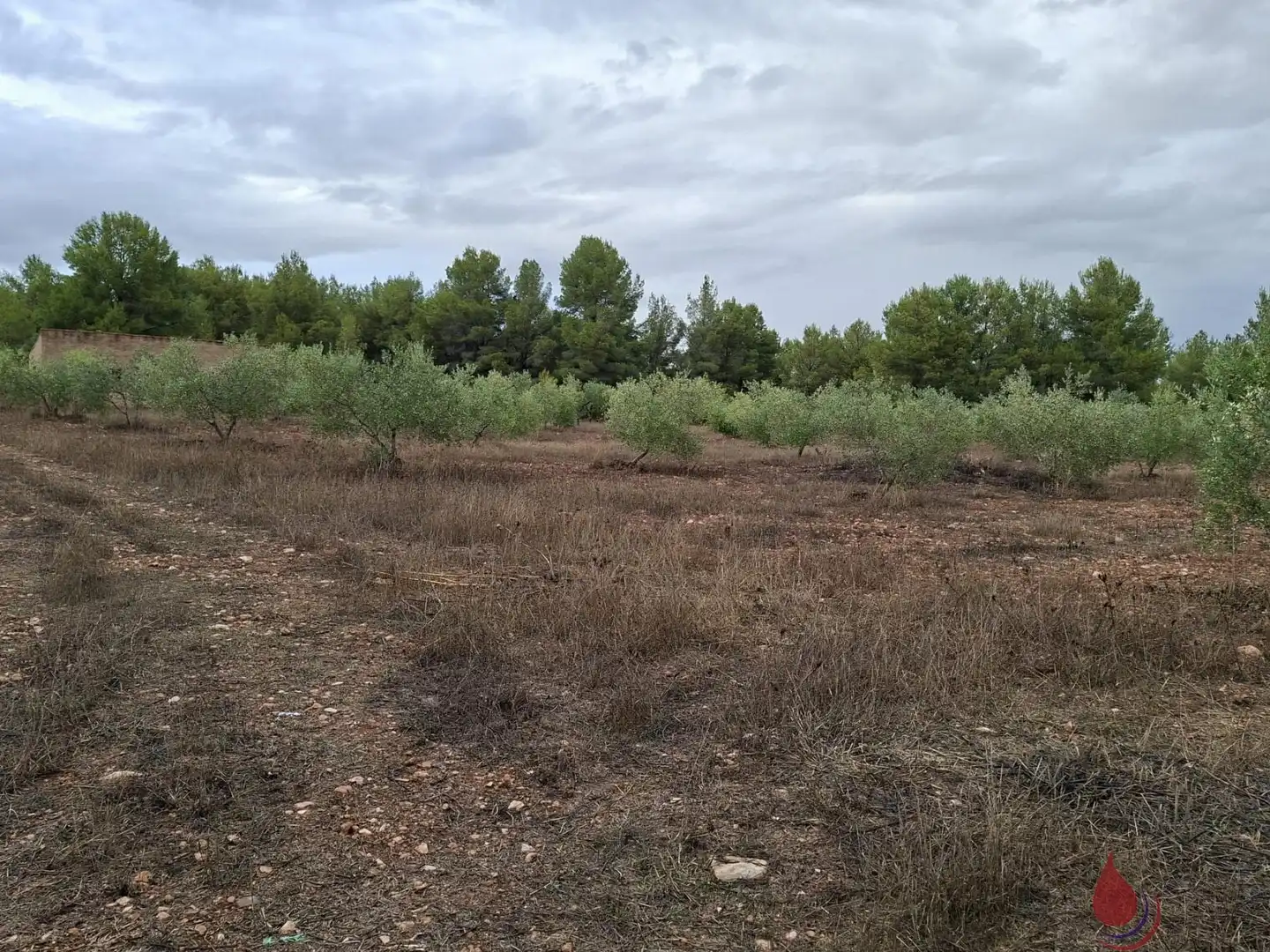Residencial en venda en El Pont d'Armentera, Tarragona