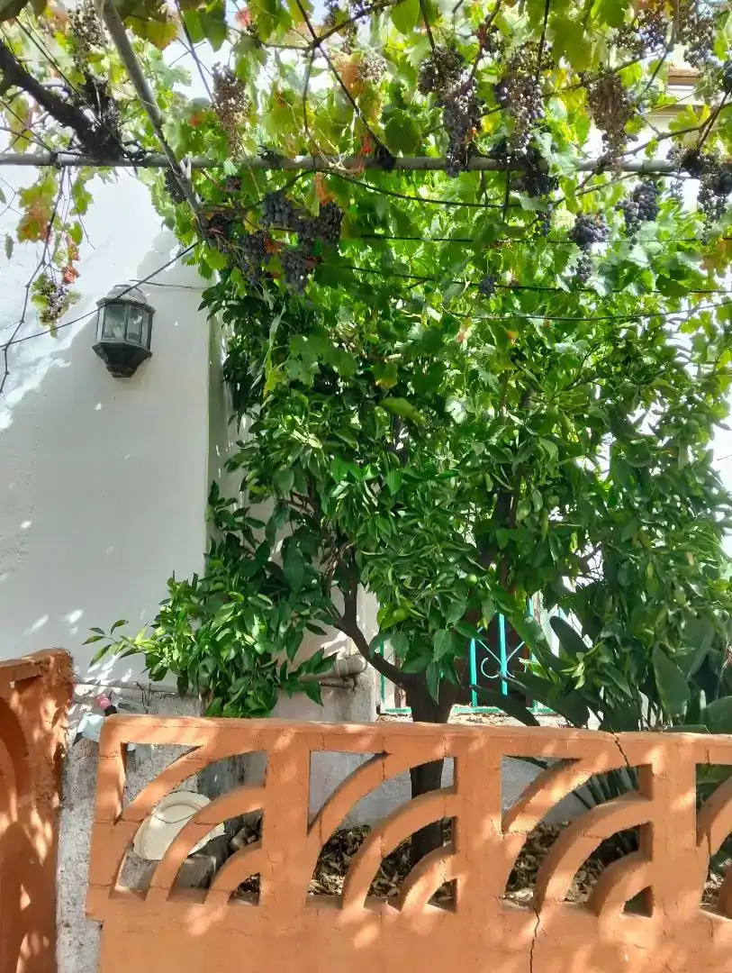 Vista exterior de Casa adosada en venda en Vega de San Mateo amb Jardí privat, Piscina i Microones