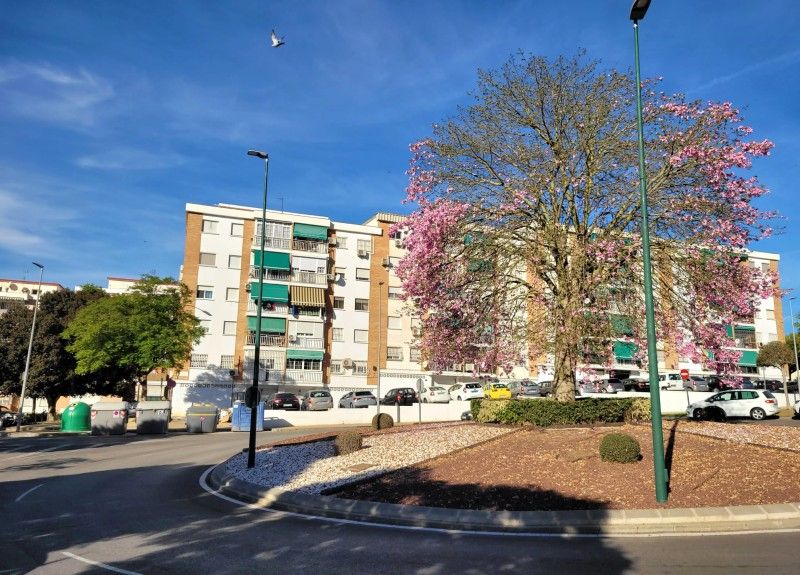 Piso en venta en Calle el Copo, 13, Alegría de la Huerta- Jardín de Málaga, Ciudad Jardín