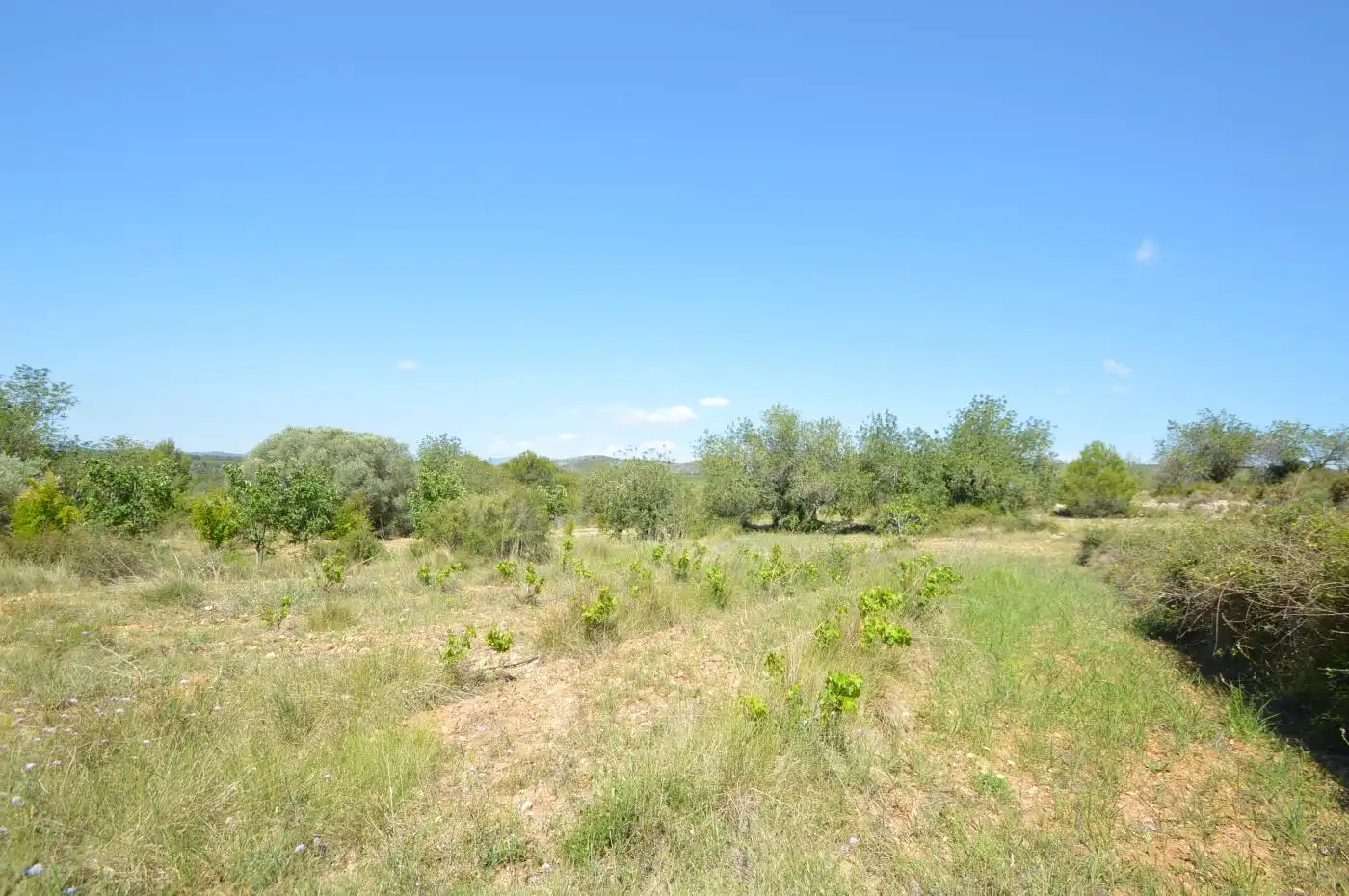 Terreno rustico in vendita a Carrer Malentivet, imagen 7