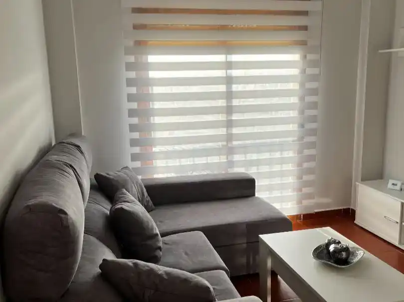 Sala d'estar de Pis en venda en Centro ciudad