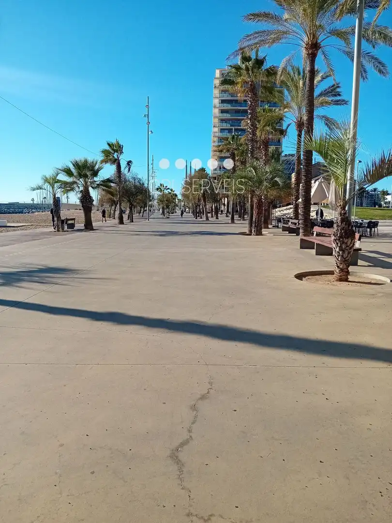 Local comercial de lloguer a Port, imagen 6