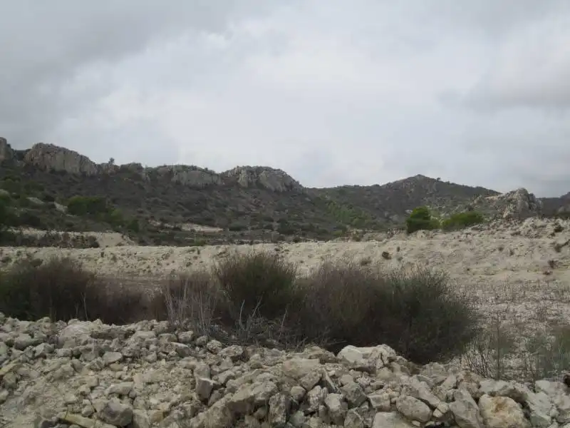 Rural land for sale in Novelda, imagen 8