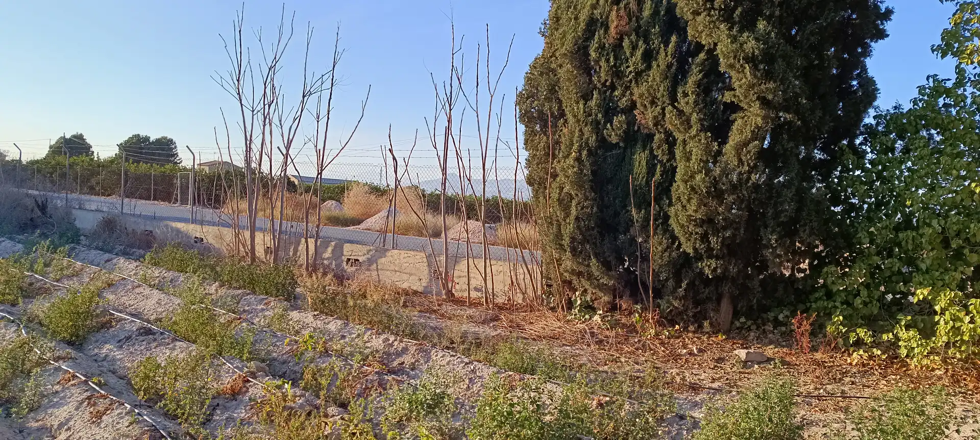 Rural land for sale in Granja de Rocamora, imagen 4