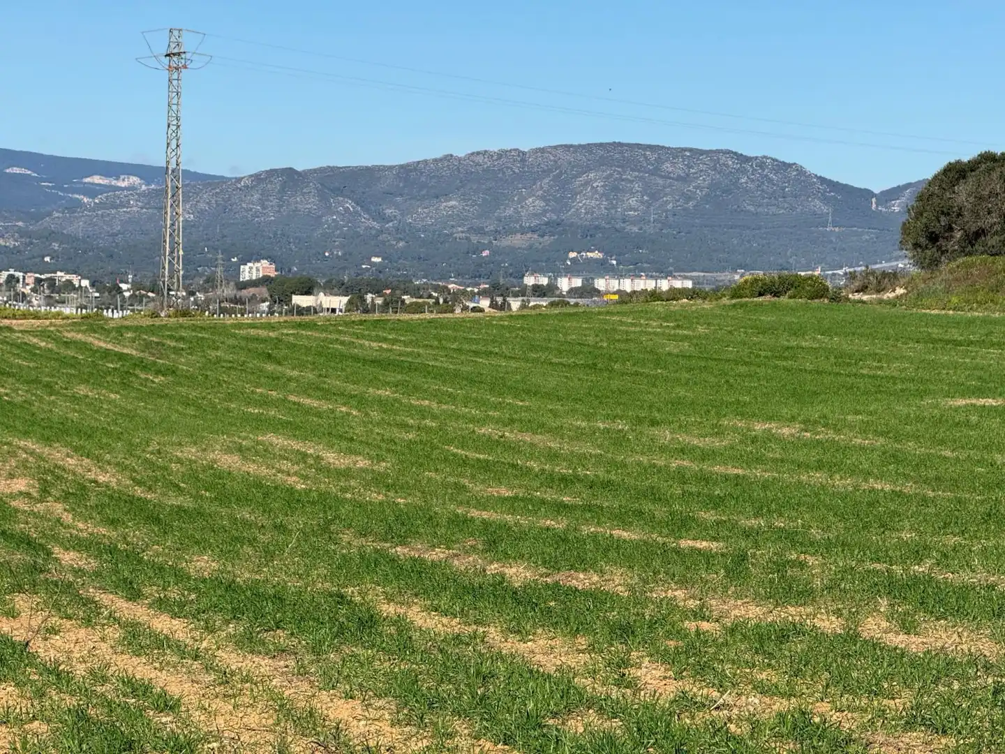 Finca rústica en venda a Puigpelat