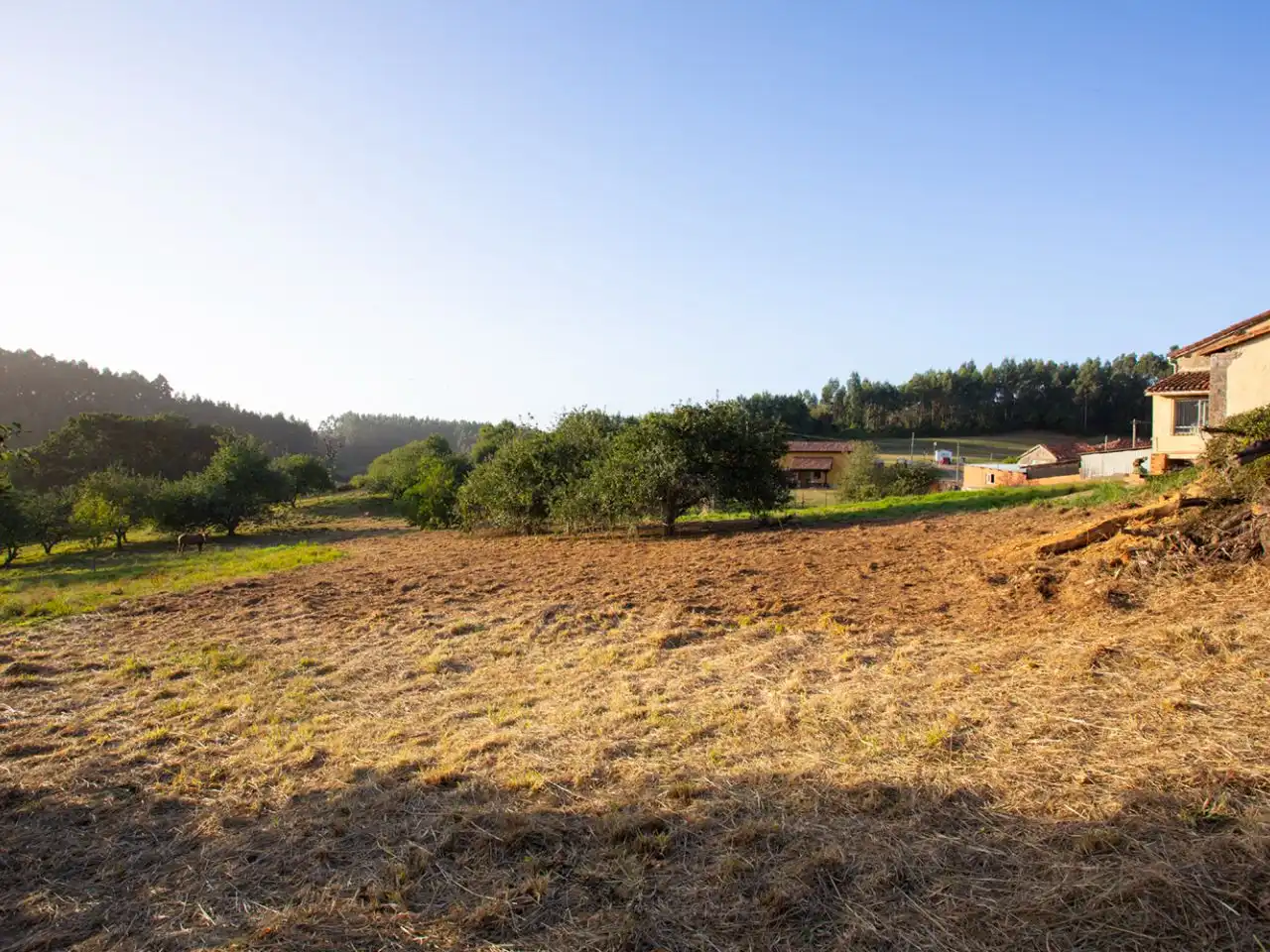 Terreno residencial en venta en Lugar el Cuadro 24, imagen 2