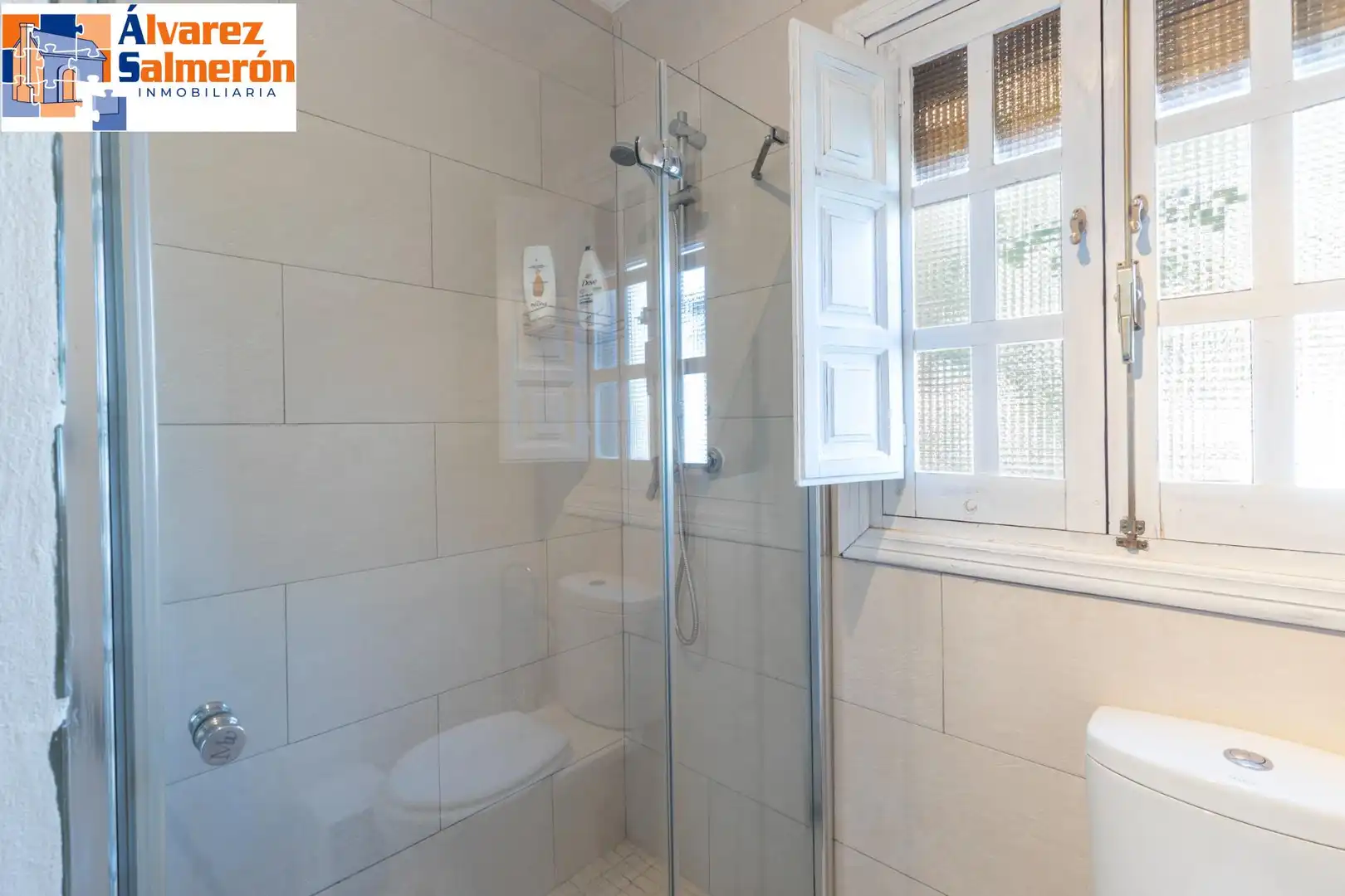 Baño de Casa o chalet en venta en Altos de la Zubia