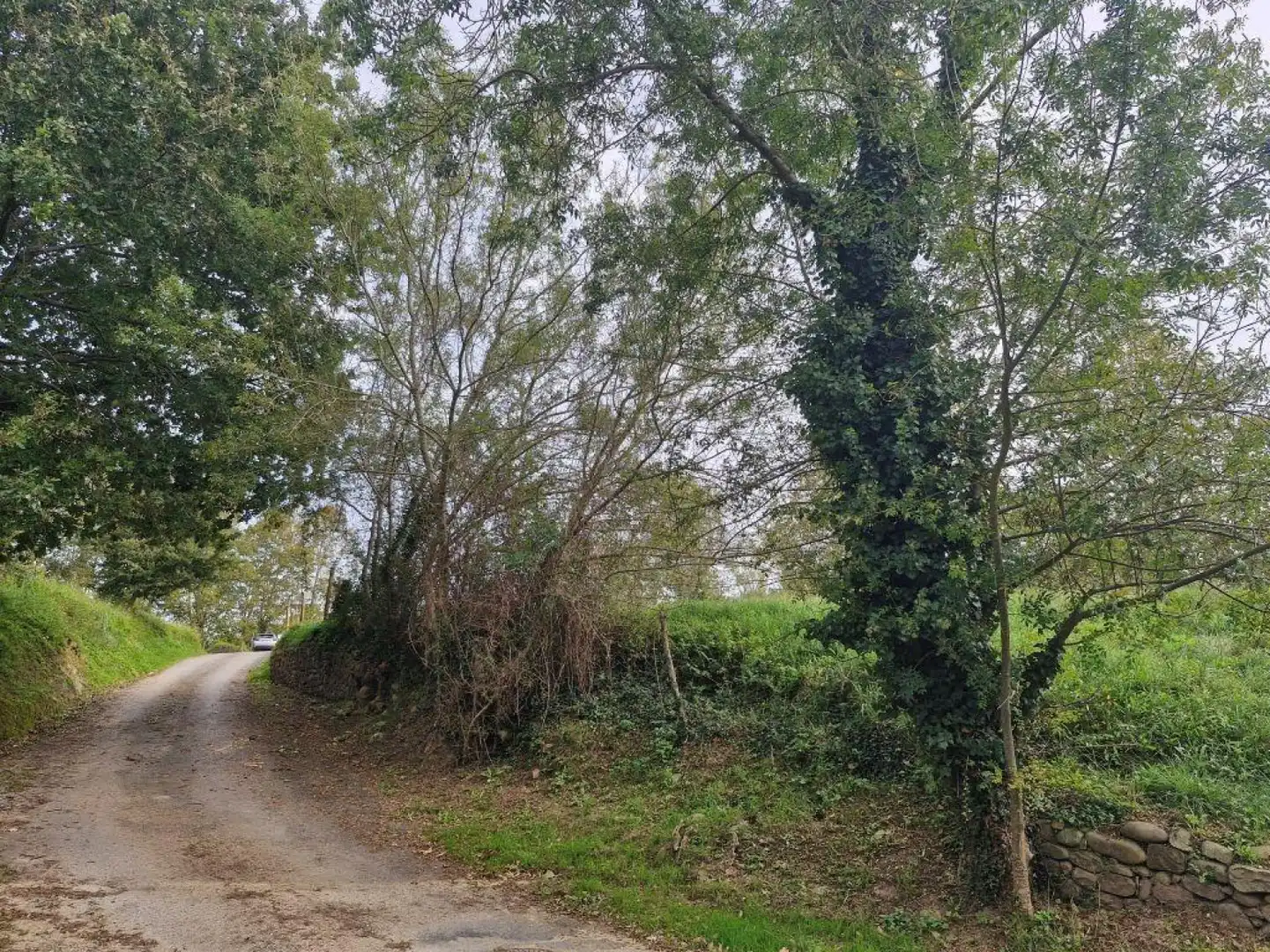 Terreny rústic en venda a Zurita - LLANA LA, imagen 2