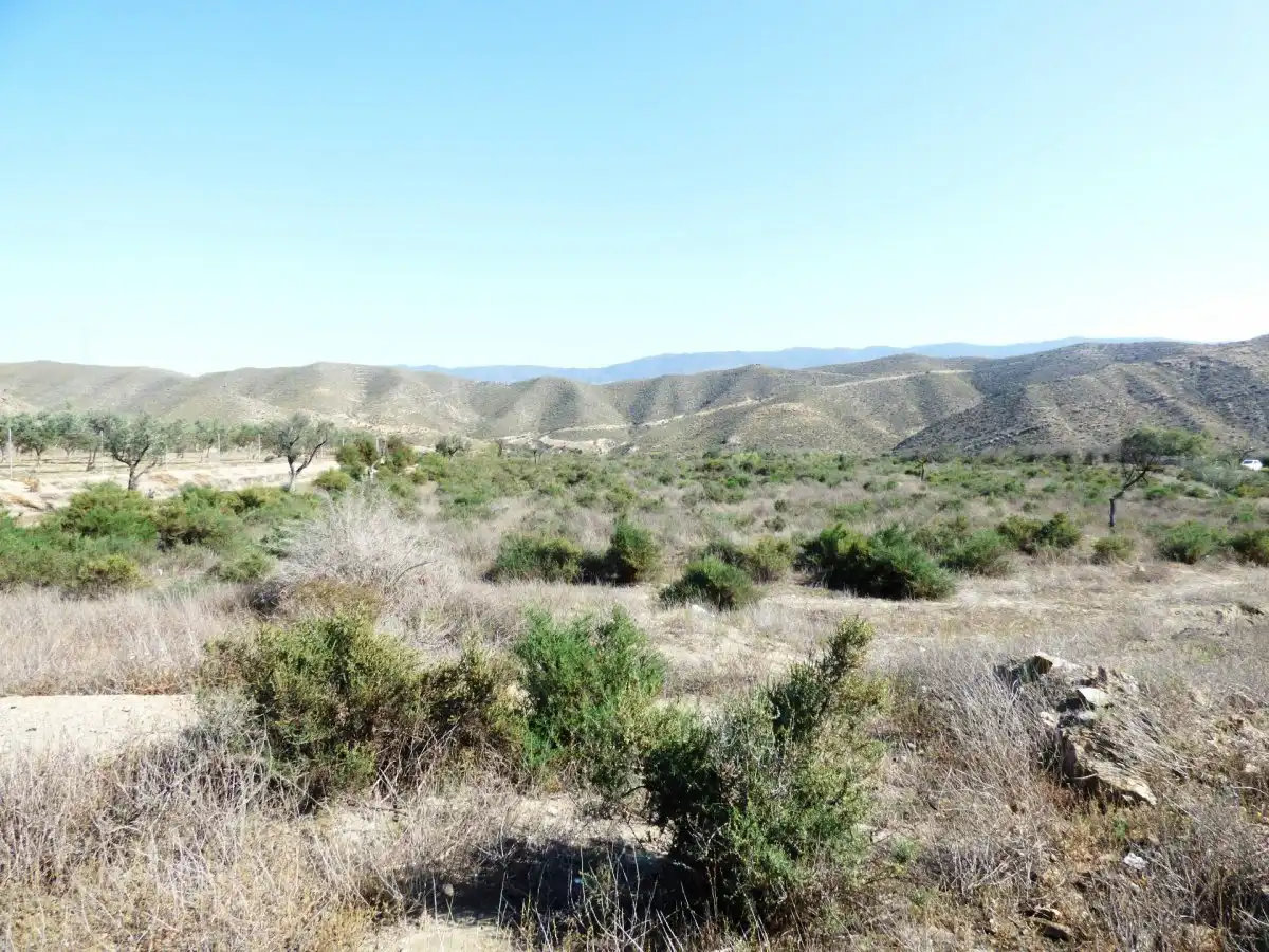 Country house for sale in Calle Torreta, imagen 5