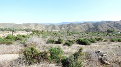 Foto 5 de Finca rústica en venta en Calle Torreta, Tabernas, Almería