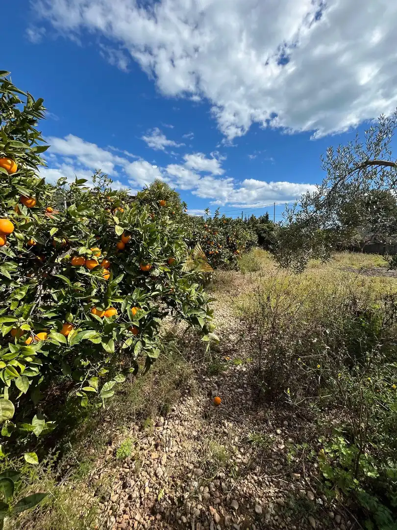 Terrenos y solares en venta en Pueblo, imagen 8
