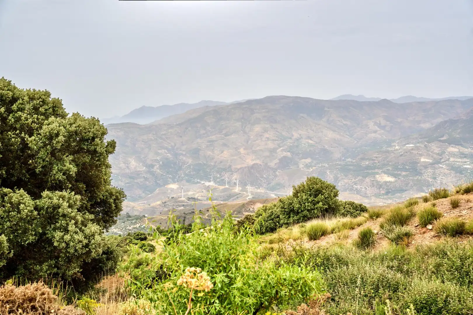 Vista exterior de Casa o chalet en venta en Lanjarón con Jardín privado