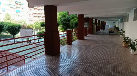 Foto 5 de Piso de alquiler en de las Fuerzas Armadas, Pajaritos, Granada Capital