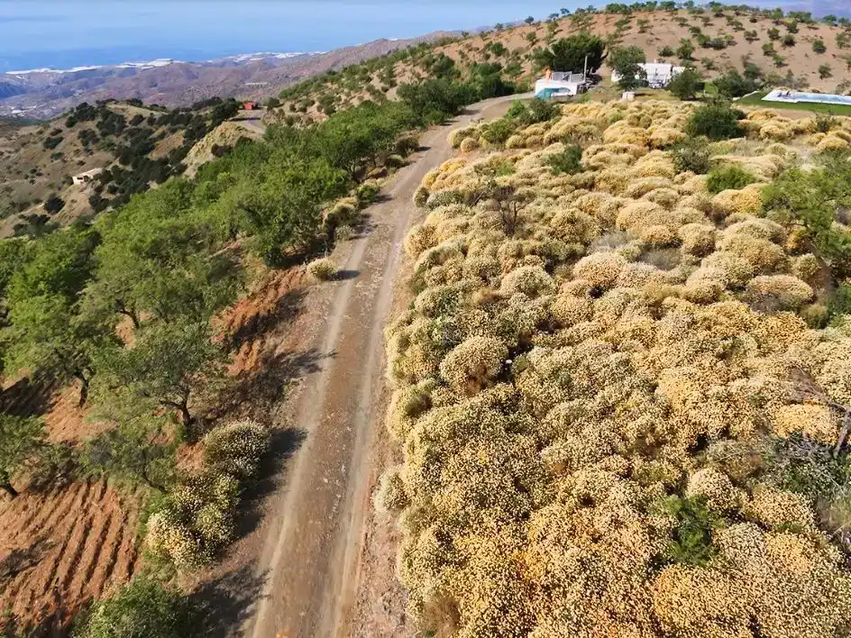 Vista exterior de Finca rústica en venda en Murtas amb Aire condicionat, Jardí privat i Traster