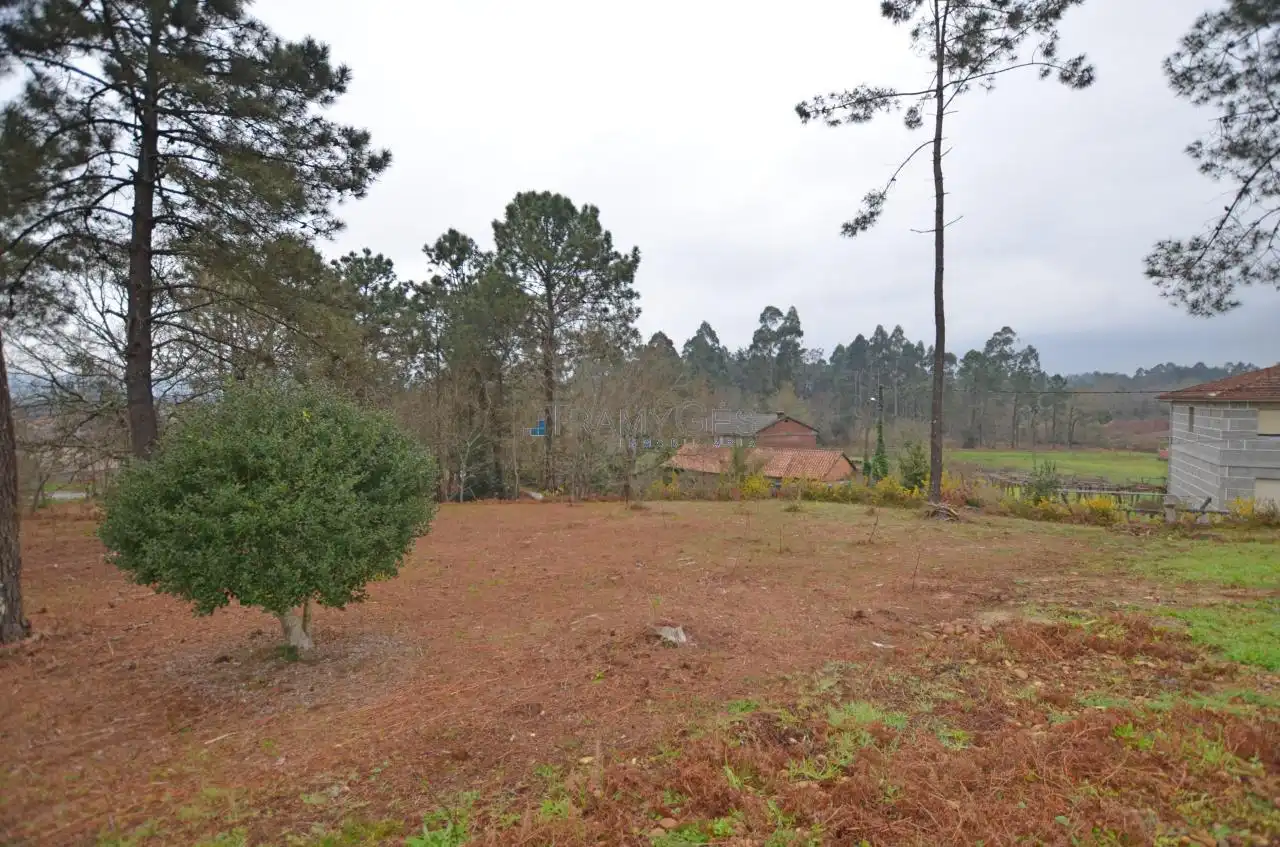 Residential land for sale in SAN BENITO, imagen 11