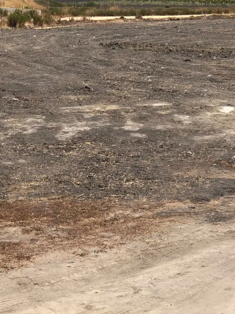 Rustikales Grundstück zum Verkauf in Avenida Carretera del Puerto 8, imagen 9
