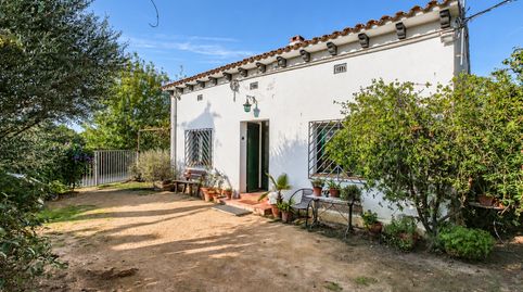 Foto 4 de Finca rústica en venda a Mas Florit - Ca la Guidó, Blanes