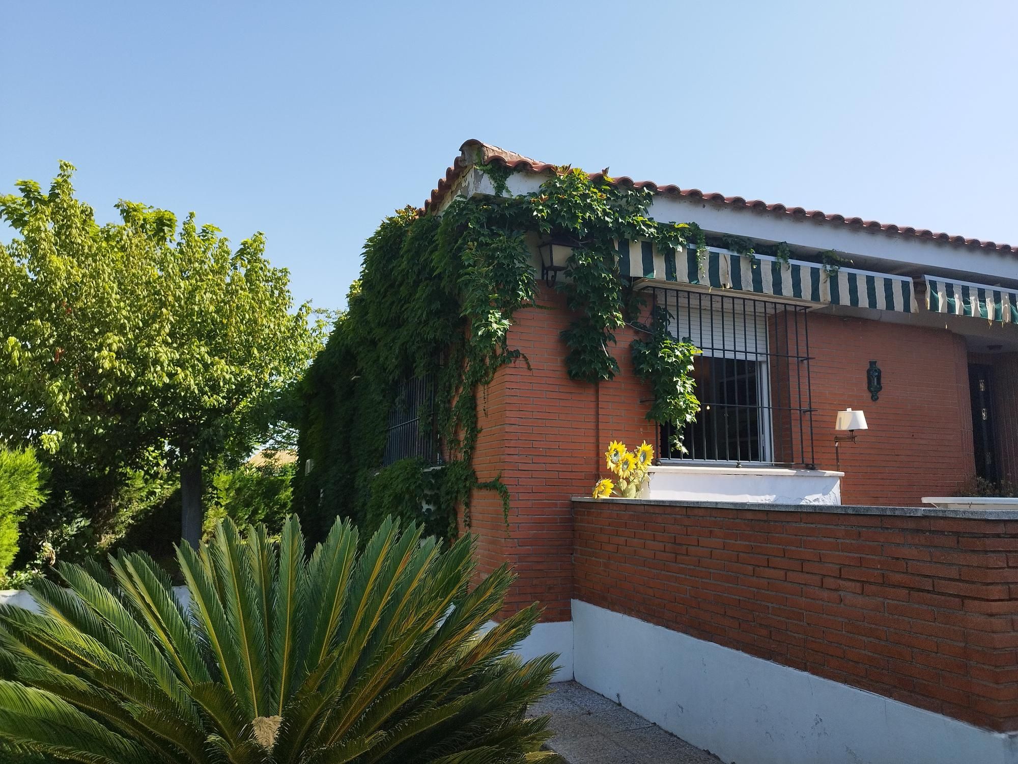 Vista exterior de Casa o chalet en venta en Carmona con Jardín privado y Piscina