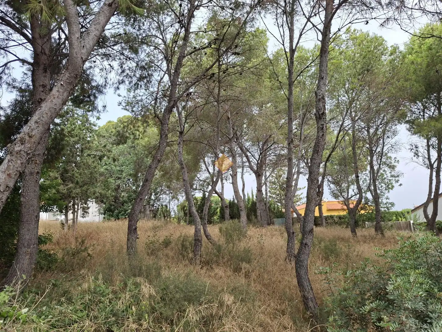 Terreno residenziale in vendita a La Conarda - Montesano, imagen 12