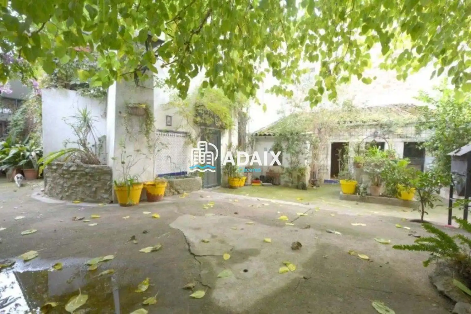 Casa amb terrassa en venda a Plaza de Ovando, imagen 8
