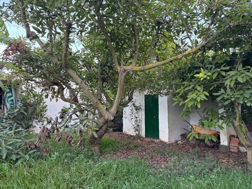 Casa rústica amb piscina en venda a Castillo Alto 65A, imagen 14