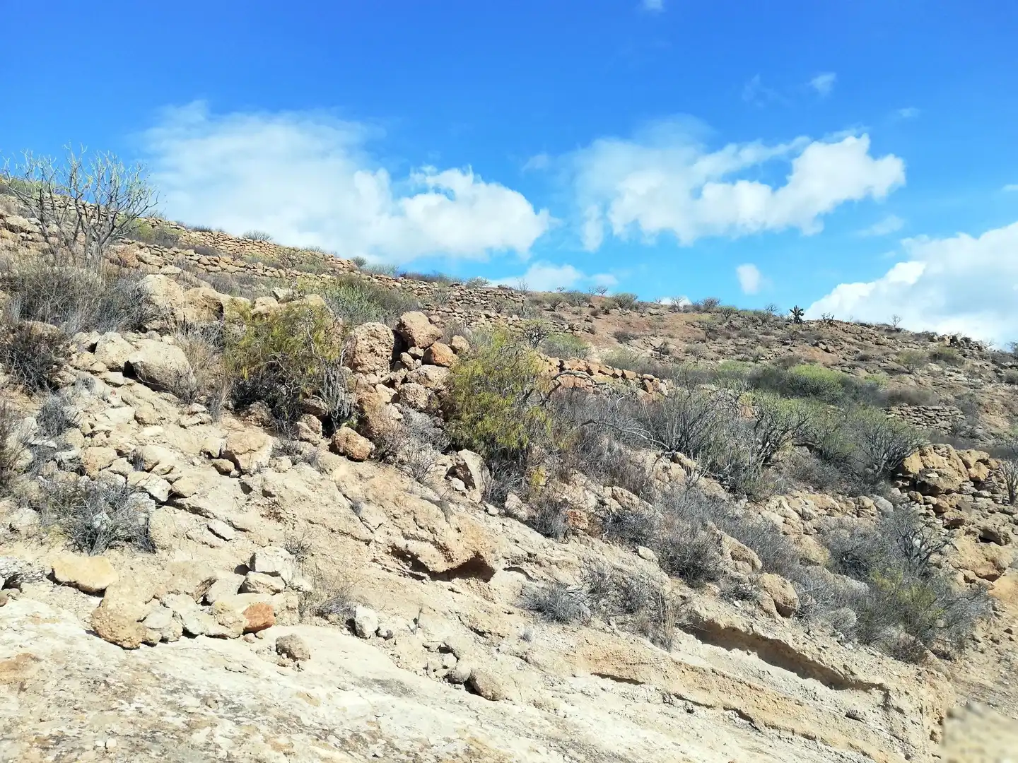 Land for sale in LAS CUEVAS, 18, Arico