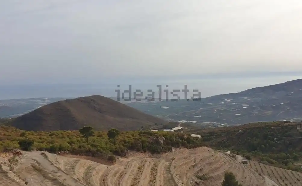 Terreno rústico en venta en Motril  ciudad, imagen 8
