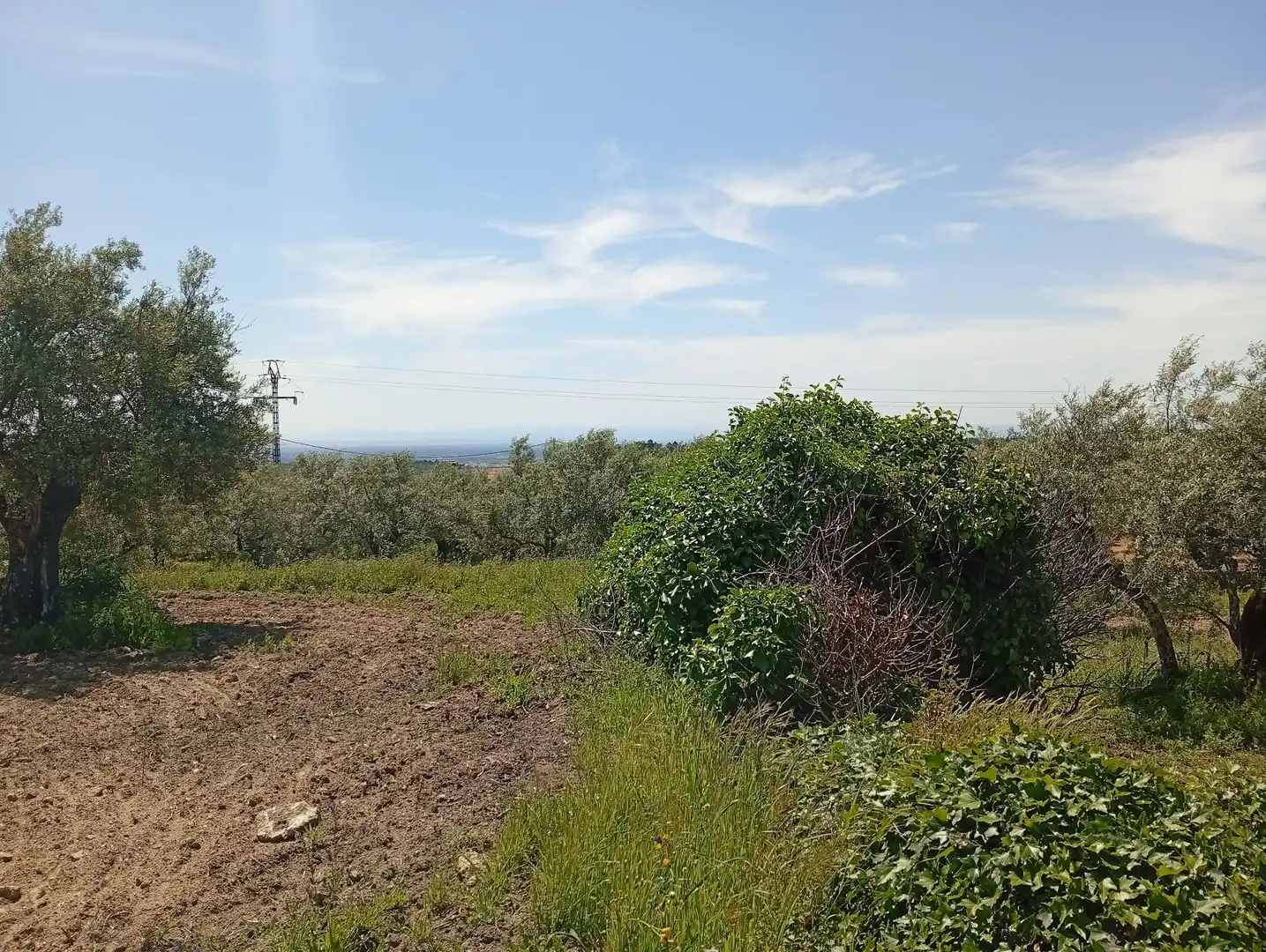Terreni e lotti in vendita a Villanueva de la Vera, imagen 7