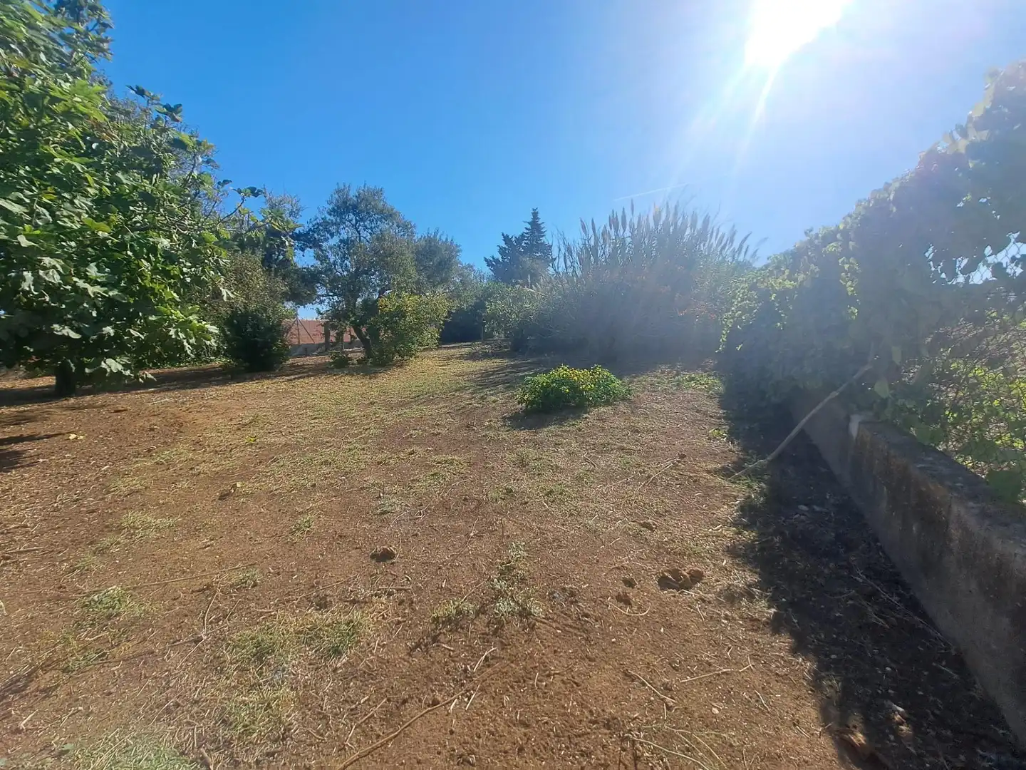 Chalet en venta en Los Franceses – La Vega, imagen 25