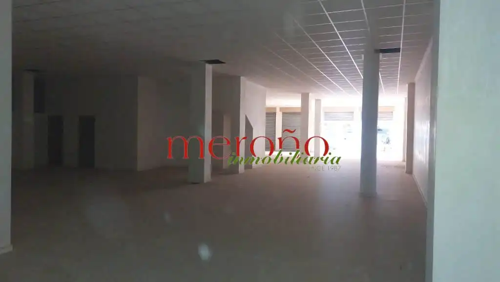 Commercial properties for rent in Elche / Elx