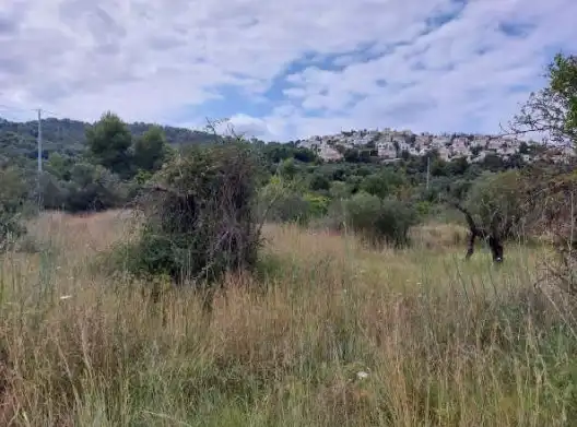 Land for sale in Orba