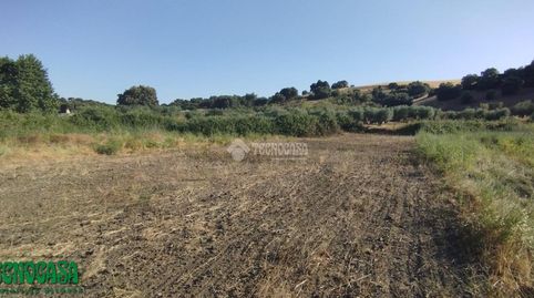 Terrenos en venta en Méntrida, immagine 5