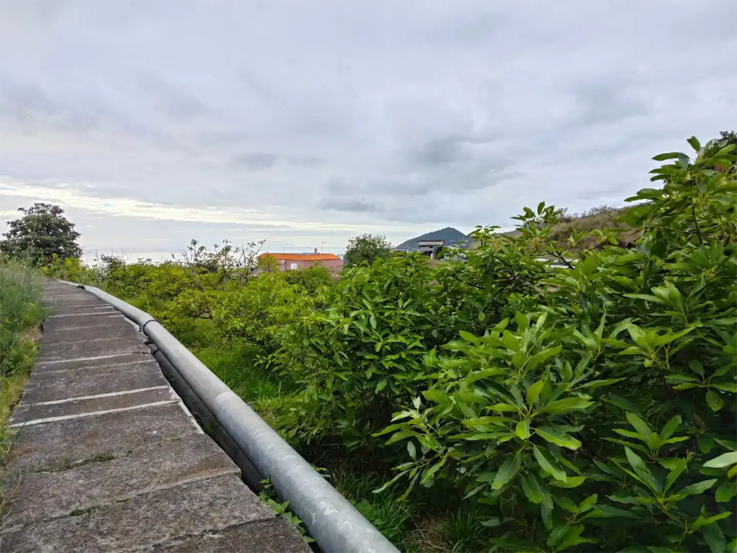Casa o chalet en venta en Breña Alta con Jardín privado, Trastero y Amueblado