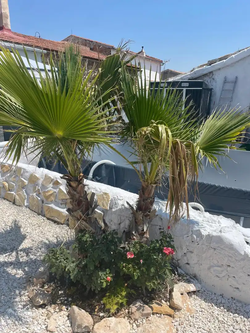 Reihenhaus zum Verkauf in El Pinós / Pinoso, imagen 27
