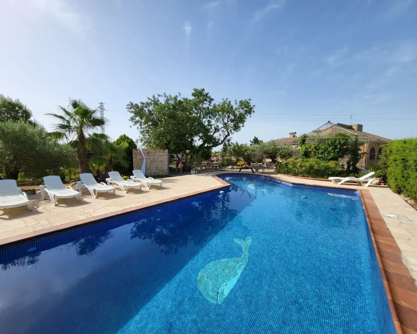 Piscina de Finca rústica en venda en L'Ametlla de Mar  amb Jardí privat, Terrassa i Traster