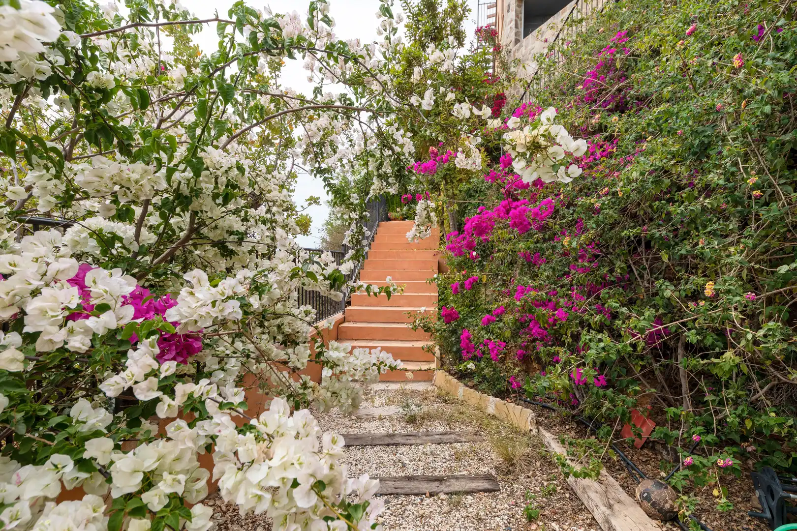 Villa mit Garten zum Verkauf in Este, imagen 32